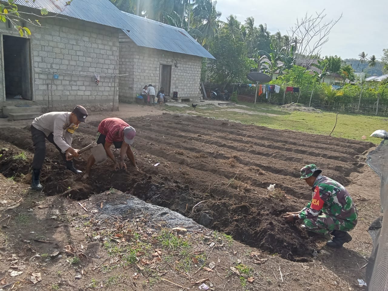 Wujudkan Swasembada Pangan, Polsek Manipa Lakukan Pendampingan dan Edukasi